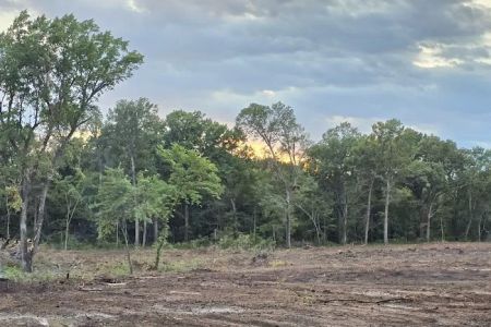 Live Oaks Rv Park C