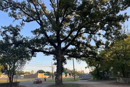 Camp Paris RV Park
