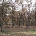 The Lazy Frog RV Park