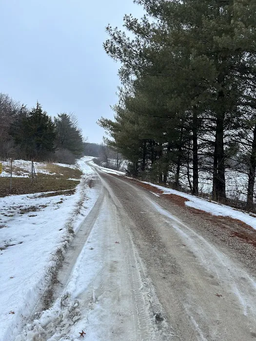Lake Paho Campground D 5