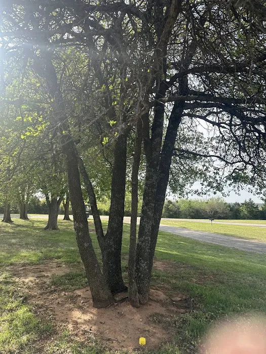 Pioneer RV Park 5