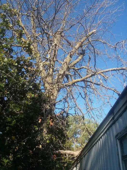 Hilltop Mobile Home Park 10