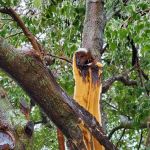 Eastland Hills RV Park