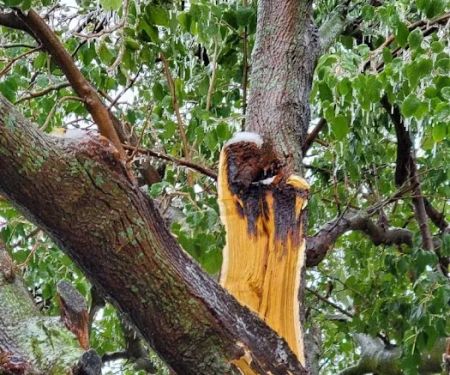 Eastland Hills RV Park