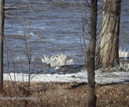 White Oak Ridge Campground