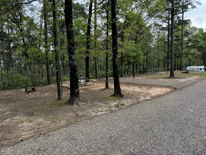 White Oak Ridge Campground 5