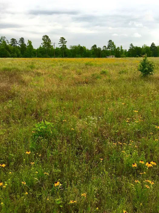 Hope Springs RV Campground 9