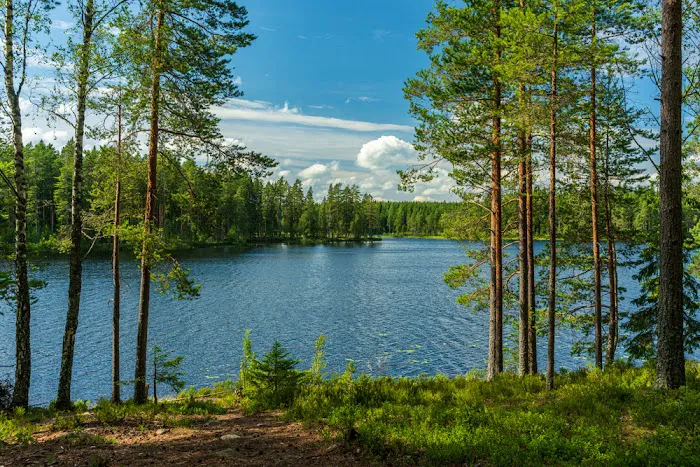 Twin Lakes Resort 5