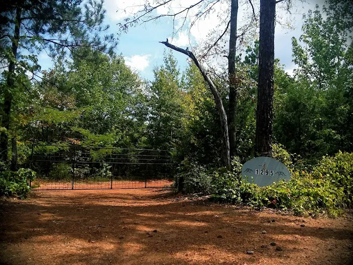 Armadillo Acres 5