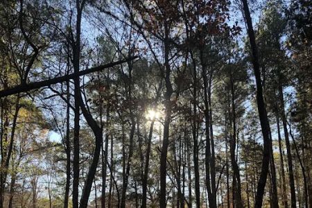 BarefootGee’s Texas Primitive Tent ,self contained Rv,Car campsite Rest Stop.Group Campsites