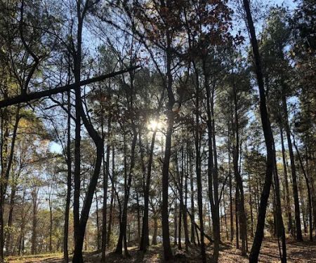 BarefootGeeu2019s Texas Primitive Tent ,self contained Rv,Car campsite Rest Stop.Group Campsites