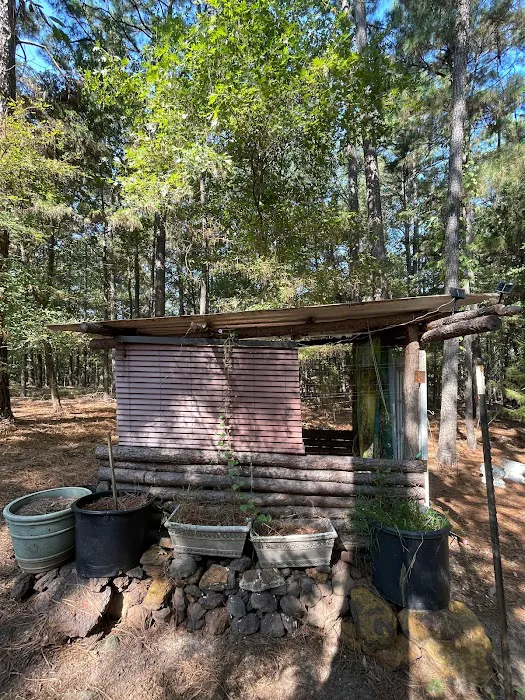 Barefoot Gee's campsite 6