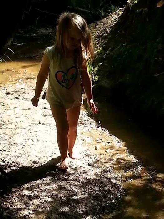 Barefoot Gee's campsite 2