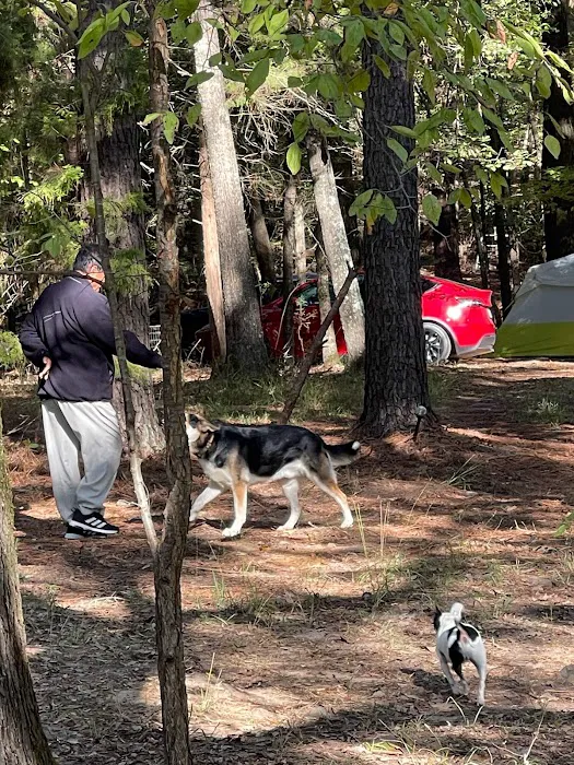 Barefoot Gee's campsite 7