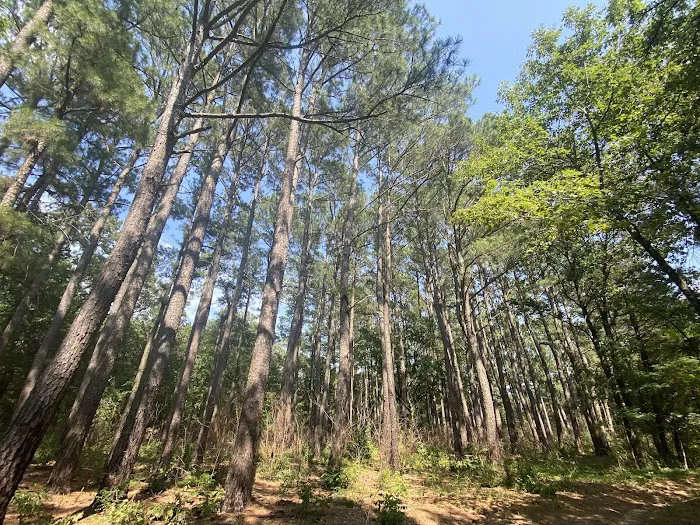 Bois D' Arc Trailhead Campground 7