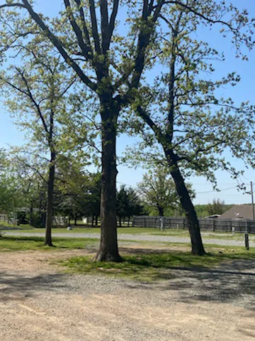 Lakewood RV & Lodge 1