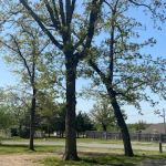 Lakewood RV & Lodge