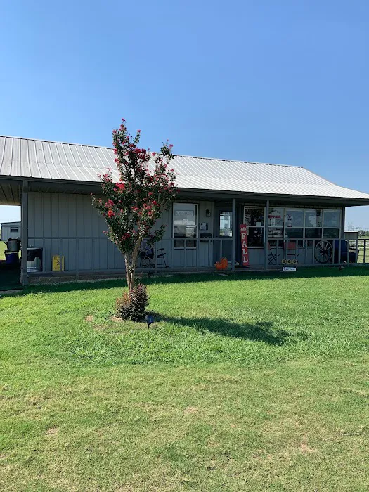 Henry D's RV Park 3