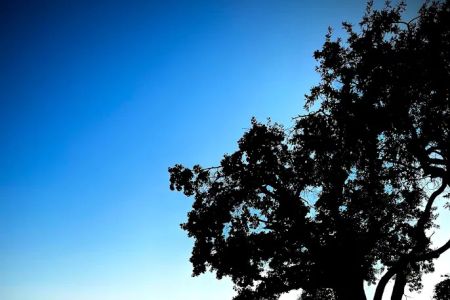 LakeTexoma HillTop RV Resort