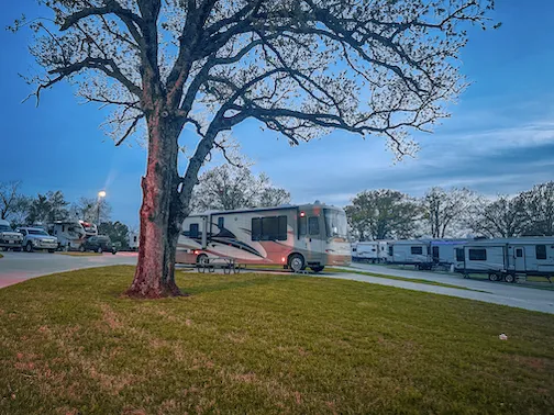 The Oaks on 37 Tiny Homes & RV Resort 8