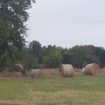 Still Meadow RV Park