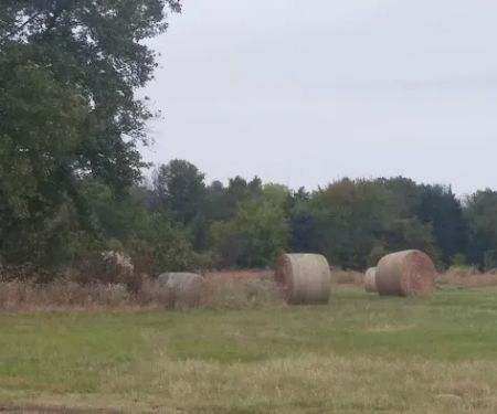 Still Meadow RV Park
