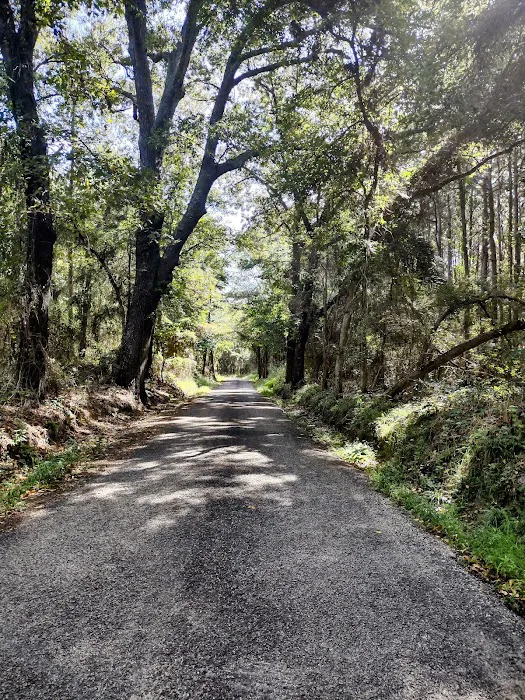 Lake Cypress Springs RV Park 7
