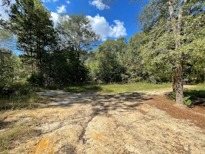Shady Pines RV Park 10