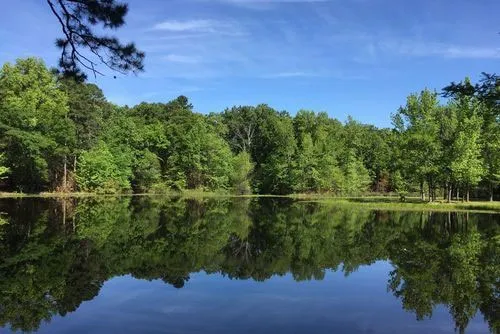 Shady Pines RV Park 5