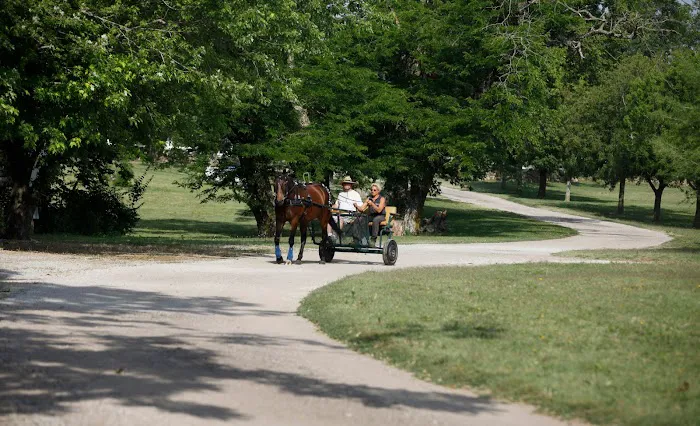 4 Mile Creek Resort - RV Park and Campground 10