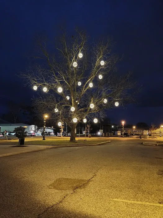 Amazing Acres RV Park 8
