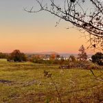Hidden Pines RV Park and Storage
