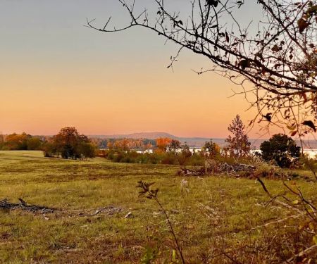 Hidden Pines RV Park and Storage