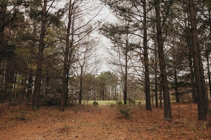 G & K RV Park 5