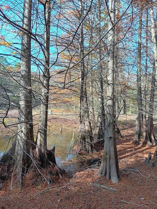 Moccasin Track Camping Area, Water & Electric Sites, plus Cottages 6
