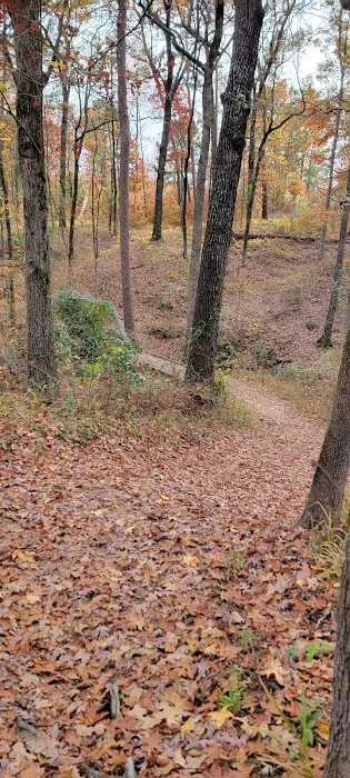 Cherokee Trace Camping Area, Water and Electric Sites 4