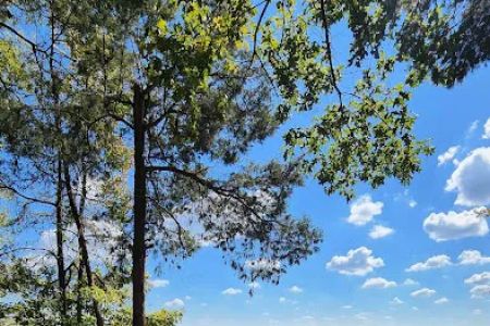 Cherokee Trace Camping Area, Water and Electric Sites