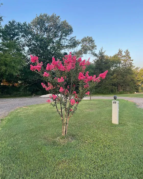 The Bluffs RV Park 5