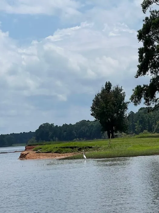Island View 9