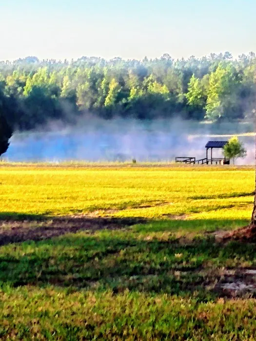 Hawks Nest Senior RV Park 10