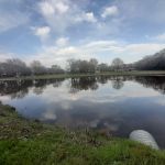 Two Frogs RV Park