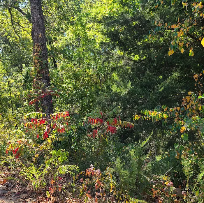West Lake Davy Crockett Campground 9