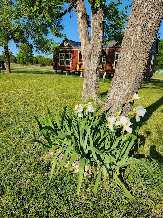 McBride RV Park 8
