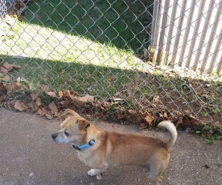 Alpine Mobile Homes Park