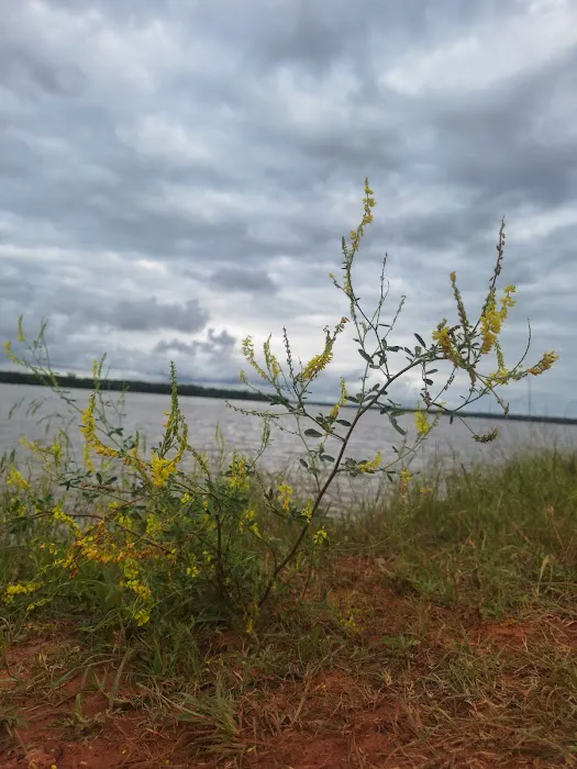 North Sentinel Campground and Boat Launch 10