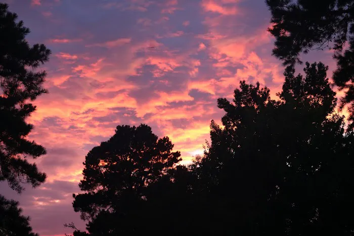 Four Oaks RV Park 3
