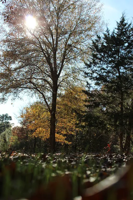 Four Oaks RV Park 5