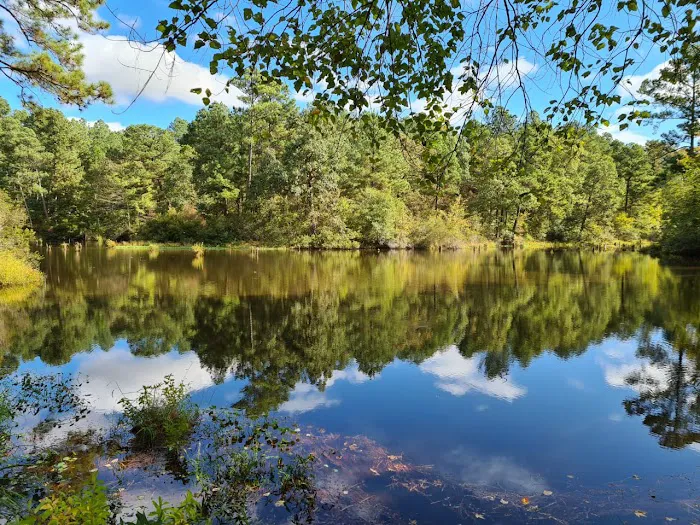 Cascading Falls RV Park 1