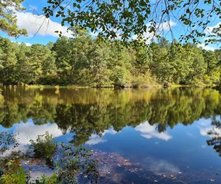 Cascading Falls RV Park