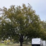Wynnewood North RV Park